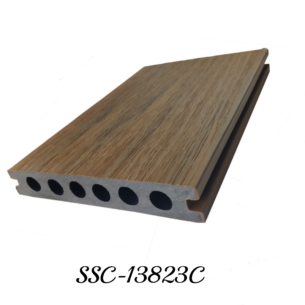 CO 13823C